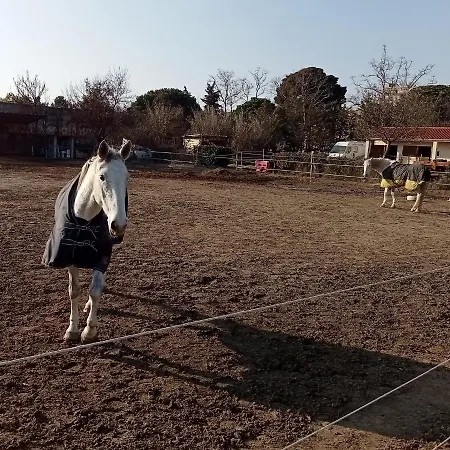 Palegry D'hotes ベッド・アンド・ブレックファスト