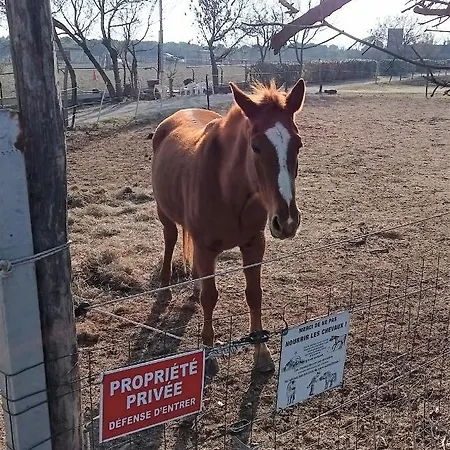 Palegry D'hotes Bed & Breakfast Perpignano