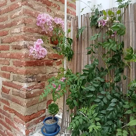 Palegry D'hotes Perpiñán