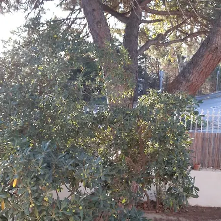 Palegry D'hotes ベッド・アンド・ブレックファスト