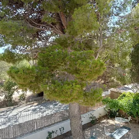 Palegry D'hotes ベッド・アンド・ブレックファスト