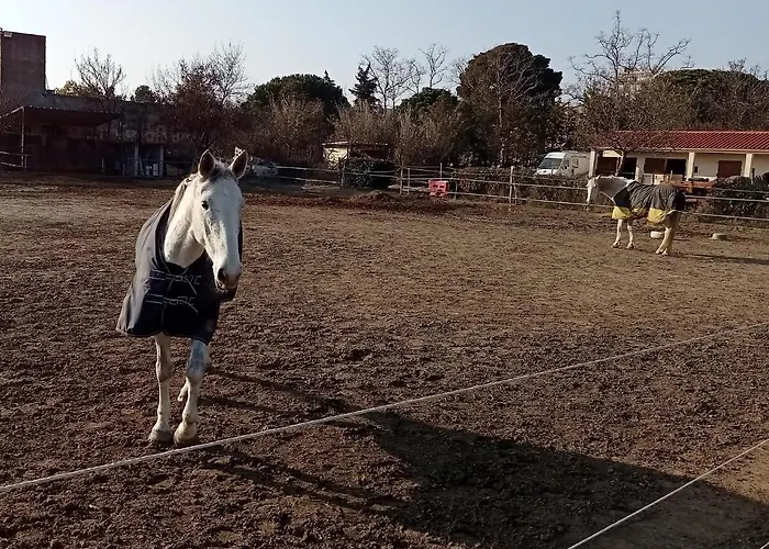 Palegry D'hotes 住宿加早餐酒店