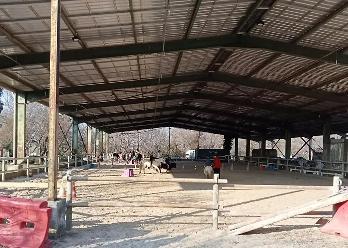 Palegry D'hotes 3* 佩皮尼昂