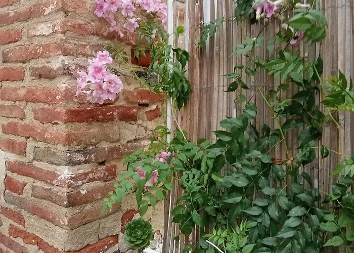 Palegry D'hôtes Perpignan