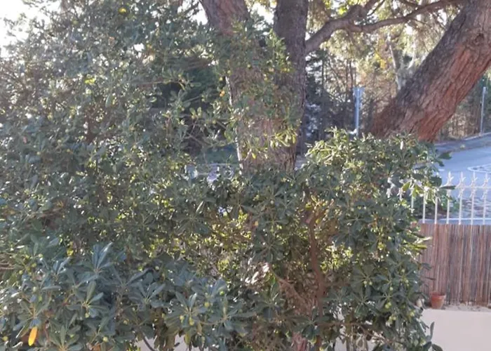 Palegry D'hotes 住宿加早餐酒店