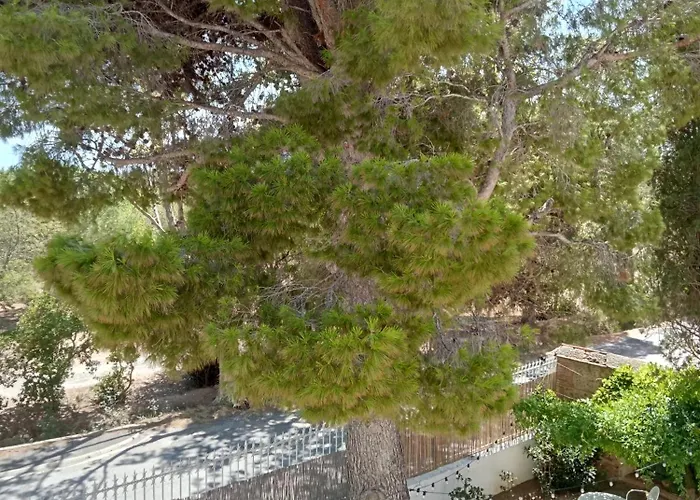 Palegry D'hotes Bed & Breakfast