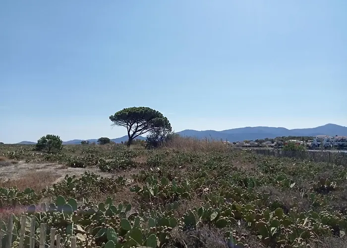 Palegry D'hotes Bed & Breakfast 3*